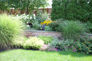 Our Grapevine Irrigation Repair team sees the potential in your landscape