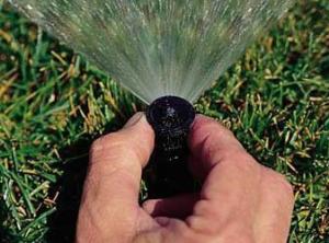 a Grapevine TX Sprinkler Repair team member tweaks a micro spray head